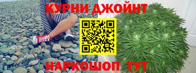 сатива Коммунар
