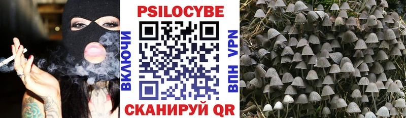продажа наркотиков  MEGA рабочий сайт  Псилоцибиновые грибы мухоморы  Михайловка 
