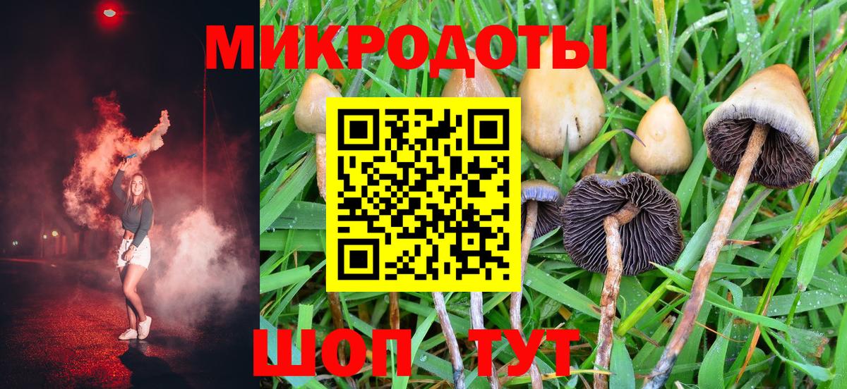 Михайловка  Галлюциногенные грибы прущие грибы  Вход с VPN  Псилоцибиновые грибы мухоморы 