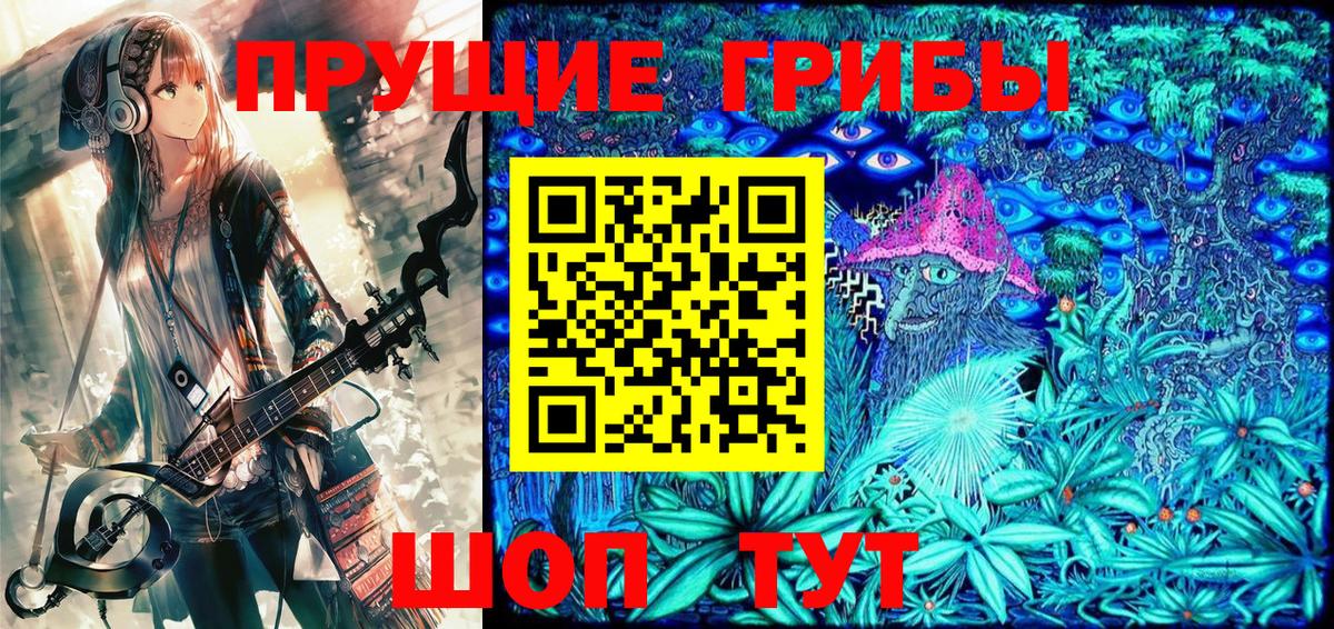 Галлюциногенные грибы Psilocybine cubensis Михайловка